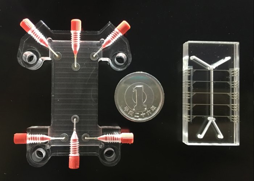 電気特性の異なる細胞をラベルフリーで高効率に分離可能な電極積層型マイクロ流路