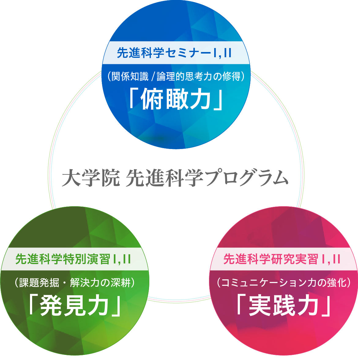 千葉大学が掲げる人間力育成ポイント 「俯瞰力」「発見力」「実践力」の修得・深耕・強化を元に、以下のカリキュラムを実施する